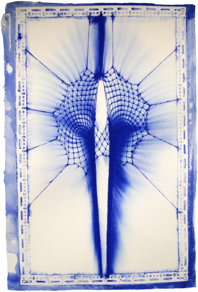 Double Black Hole (Blue and White)

fishnet bodysuit pigment embossing on cotton base sheet

60h x 40w in