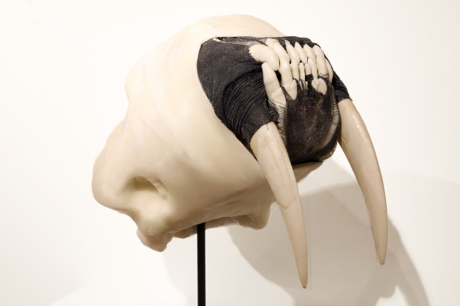 Semi-Feral Skull IV