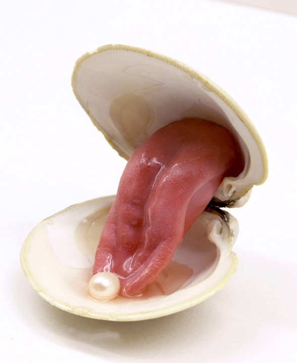 Open Clam with Freshwater Pearl, 2004, Clam shell, silicone tongue, freshwater pearl, and resin