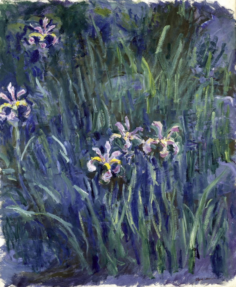 &#039;Irises&#039; by Claude Monet. (Courtesy New York Botanical Gardens)