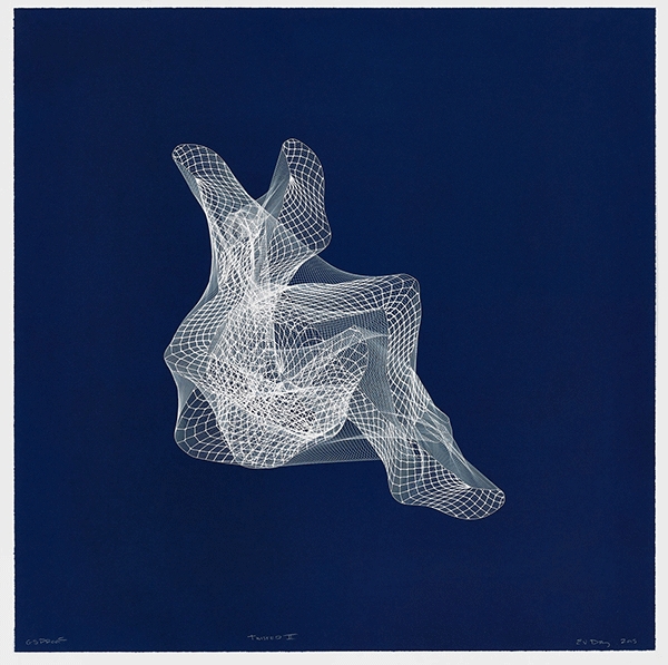 E.V. Day, Twisted II, Cyanotype,&nbsp;40 x 40 inches.&nbsp;Courtesy of Graphicstudio, U.S.F.
