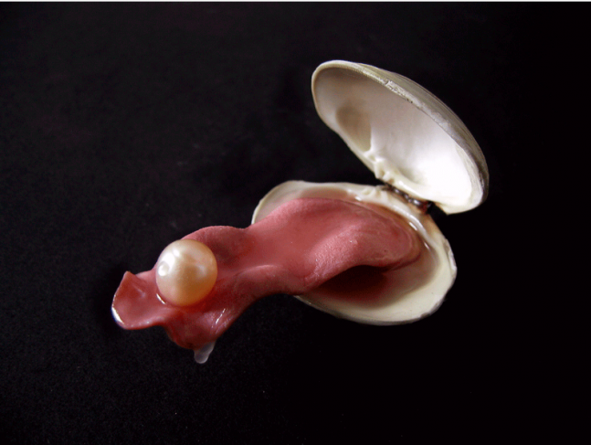 Untitled, Clam shell, fox tongue, fresh water pearl and resin.&nbsp;