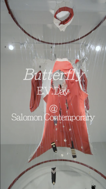 Video of Butterfly at Salomon Contemporary. NYC.&nbsp;