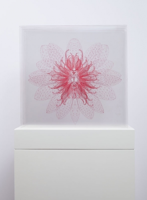 E.V. DAY Waterlily Transporter - Six Stages, 2014, Laser Etched, Hand Tinted Plexiglass, in Six Sections,&nbsp;